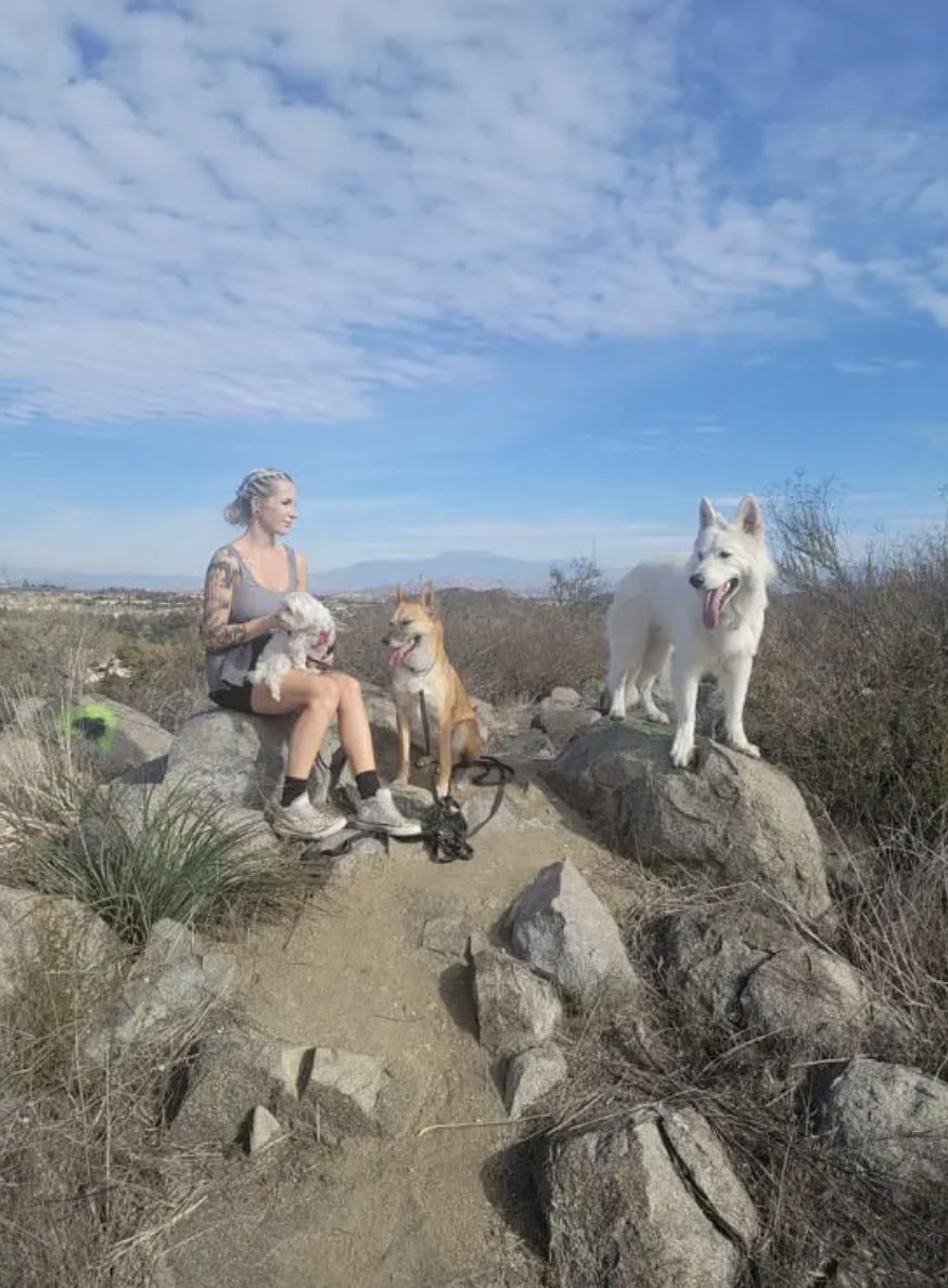 Trail break on the rocks with three dogs
