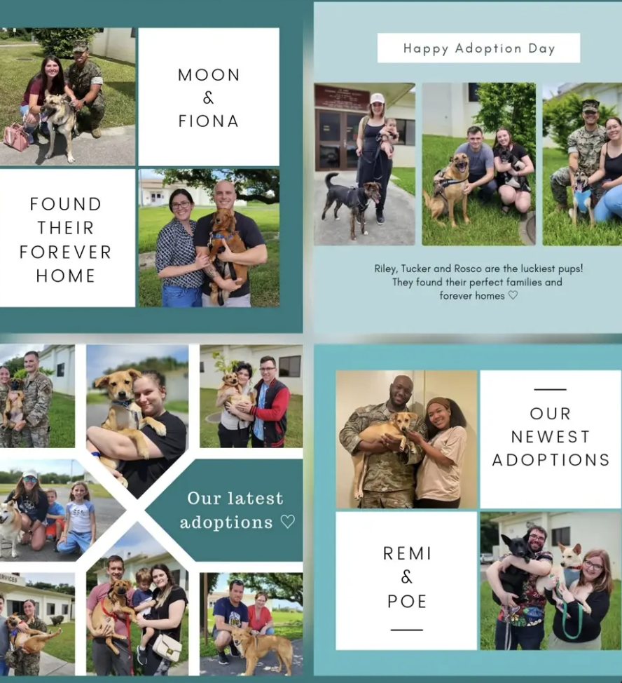 Collage of rescue dogs with their new adoptive families